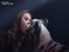 Music movie scene with pretty hotties and dogs